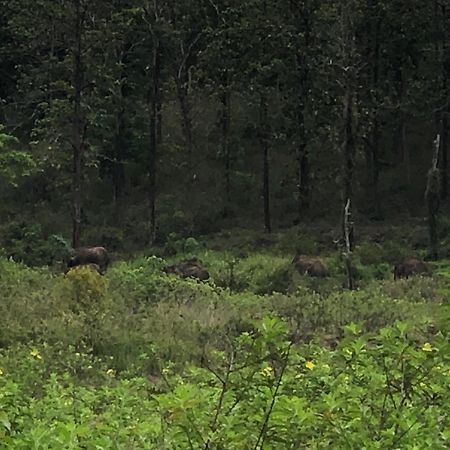 Lotus Jewel Forest Camping Султан-Батері Екстер'єр фото